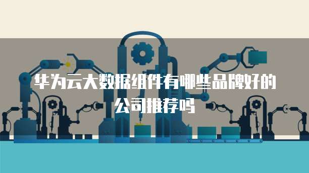 华为云大数据组件有哪些品牌好的公司推荐吗