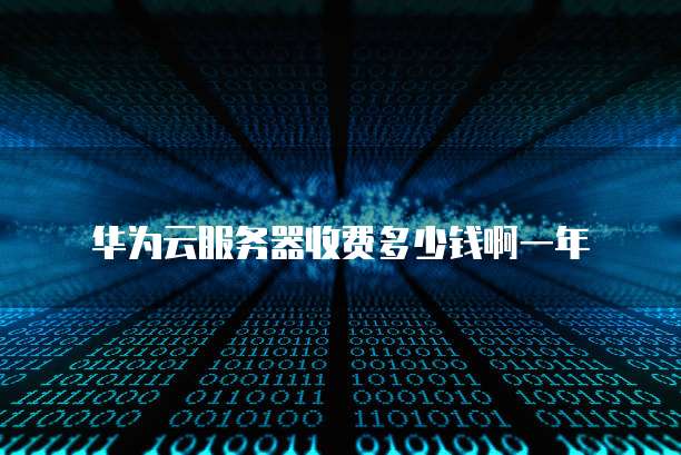 华为云服务器收费多少钱啊一年