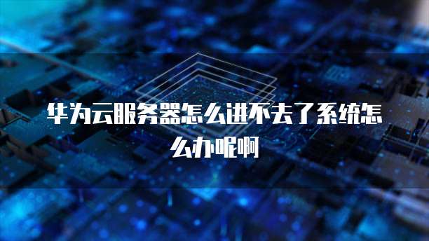 华为云服务器怎么进不去了系统怎么办呢啊