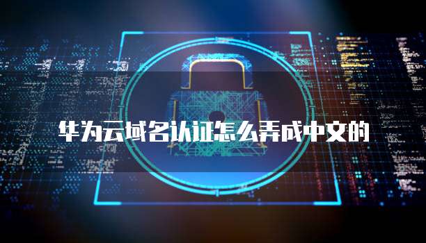 华为云域名认证怎么弄成中文的