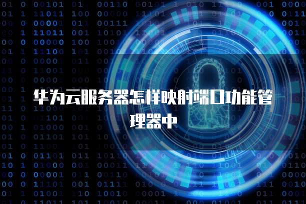 华为云服务器怎样映射端口功能管理器中