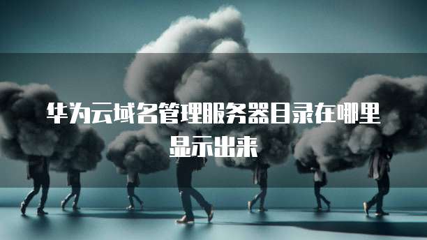 华为云域名管理服务器目录在哪里显示出来