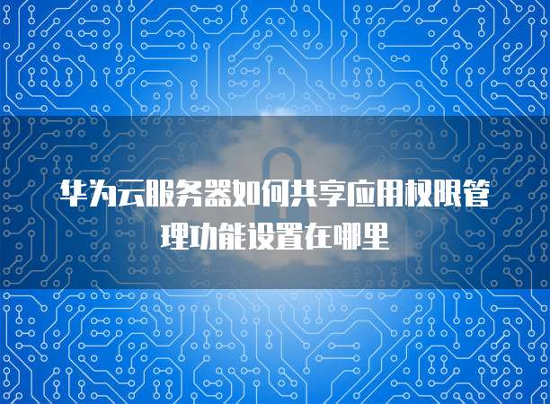 华为云服务器如何共享应用权限管理功能设置在哪里