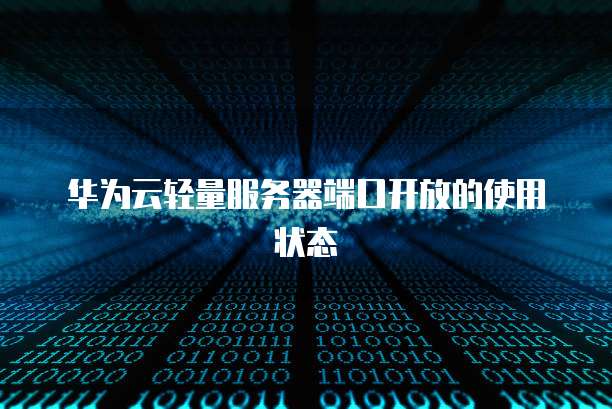 华为云轻量服务器端口开放的使用状态