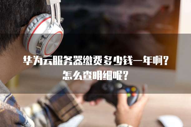 华为云服务器缴费多少钱一年啊?怎么查明细呢?