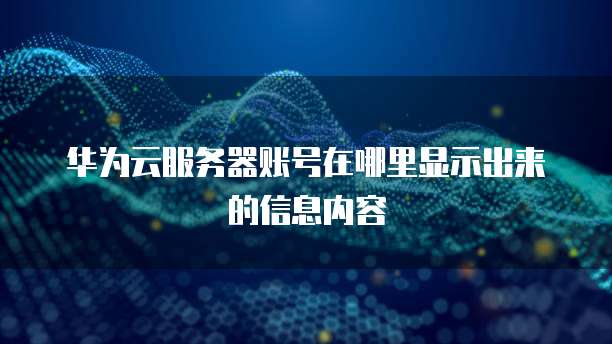 华为云服务器账号在哪里显示出来的信息内容