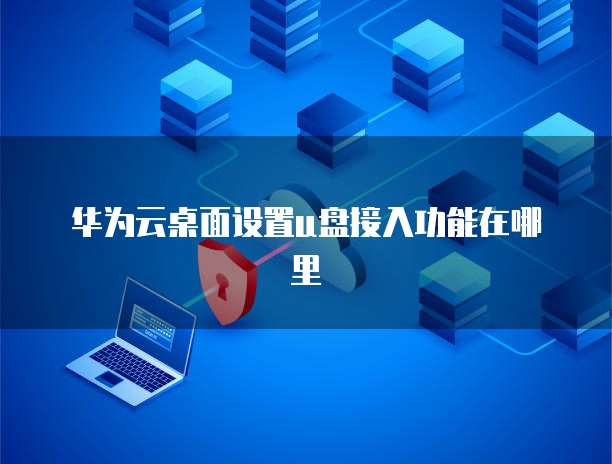 华为云桌面设置u盘接入功能在哪里