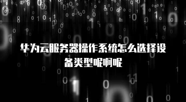 华为云服务器操作系统怎么选择设备类型呢啊呢