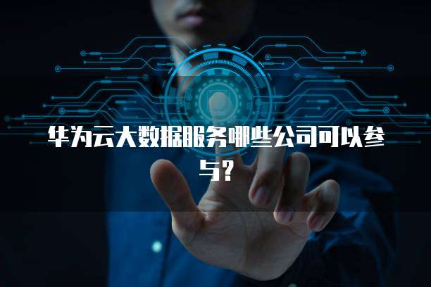 华为云大数据服务哪些公司可以参与？