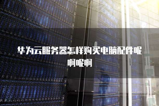华为云服务器怎样购买电脑配件呢啊呢啊