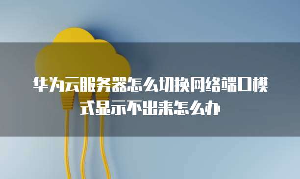 华为云服务器怎么切换网络端口模式显示不出来怎么办