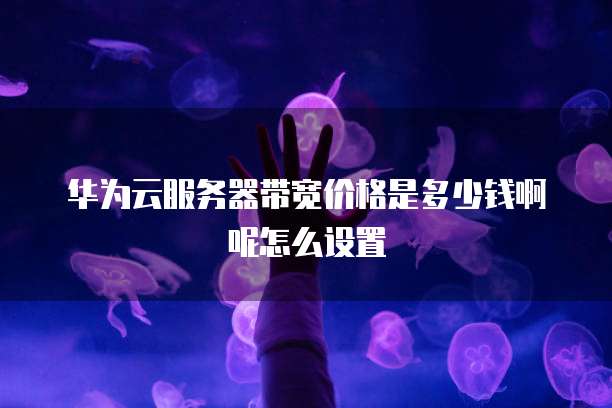 华为云服务器带宽价格是多少钱啊呢怎么设置