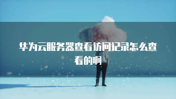 华为云服务器查看访问记录怎么查看的啊
