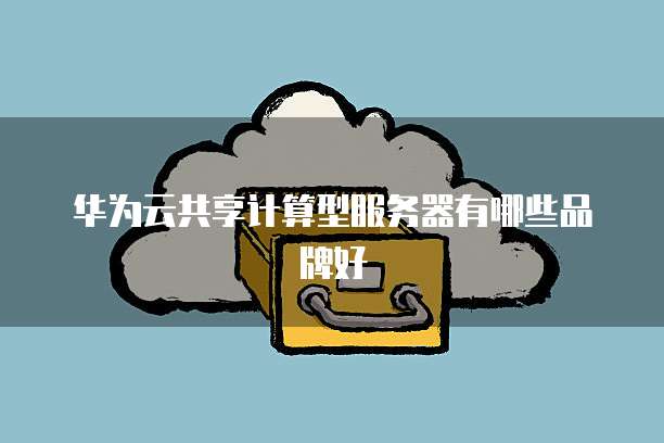 华为云共享计算型服务器有哪些品牌好