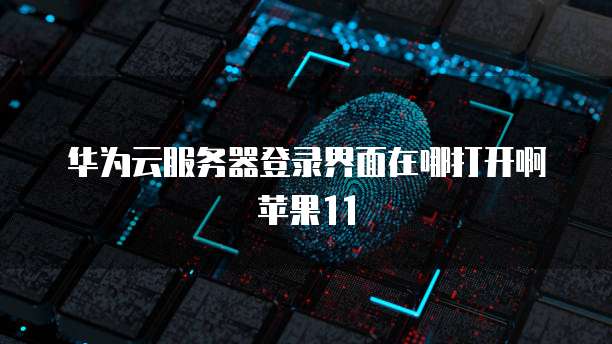 华为云服务器登录界面在哪打开啊苹果11
