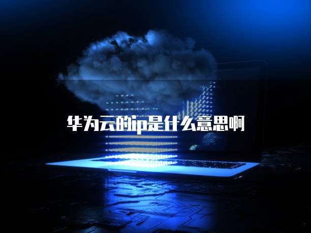 华为云的ip是什么意思啊