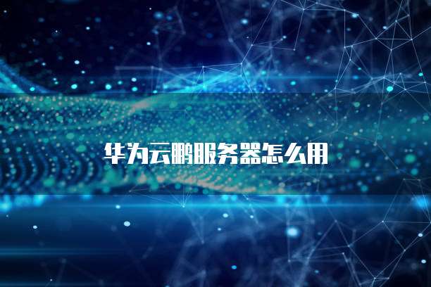 华为云鹏服务器怎么用