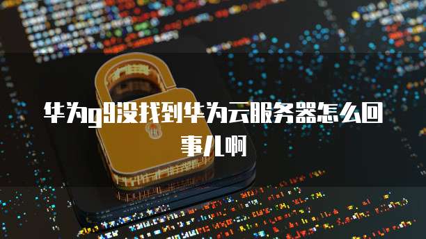 华为g9没找到华为云服务器怎么回事儿啊