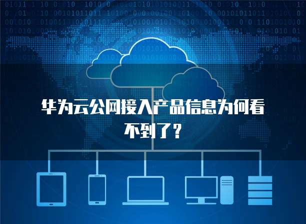  华为云公网接入产品信息为何看不到了？