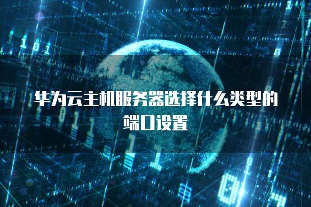 华为云主机服务器选择什么类型的端口设置
