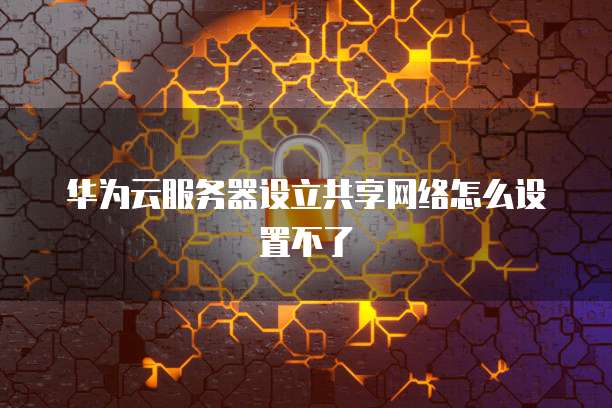 华为云服务器设立共享网络怎么设置不了