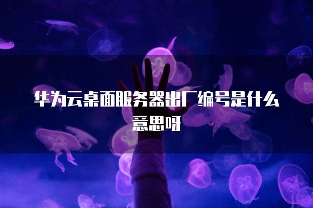 华为云桌面服务器出厂编号是什么意思呀