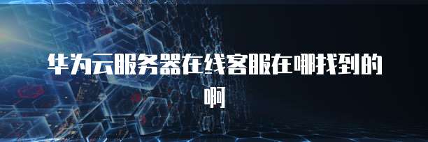 华为云服务器在线客服在哪找到的啊