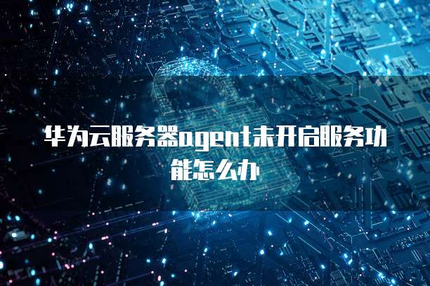 华为云服务器agent未开启服务功能怎么办