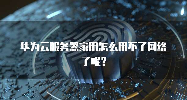 华为云服务器家用怎么用不了网络了呢？