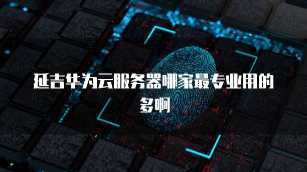 延吉华为云服务器哪家最专业用的多啊