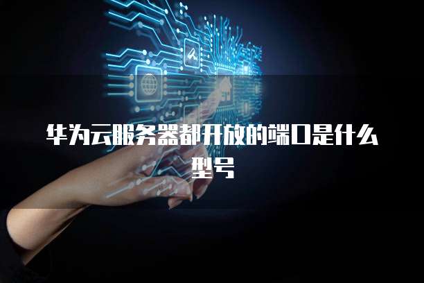 华为云服务器都开放的端口是什么型号