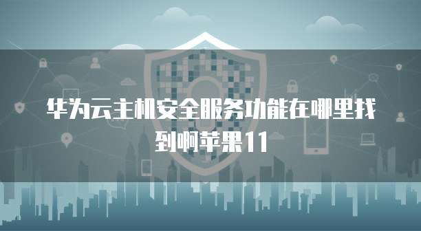 华为云主机安全服务功能在哪里找到啊苹果11