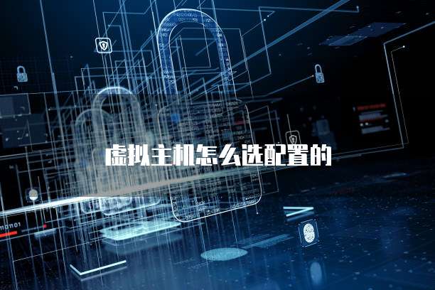 虚拟主机怎么选配置的