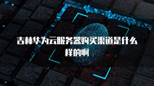 吉林华为云服务器购买渠道是什么样的啊
