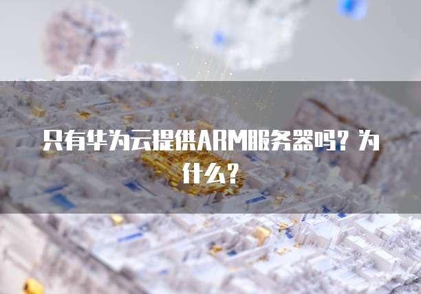只有华为云提供ARM服务器吗？为什么？