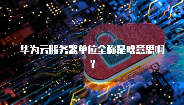 华为云服务器单位全称是啥意思啊？