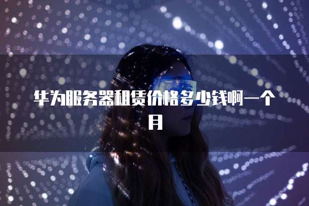 华为服务器租赁价格多少钱啊一个月