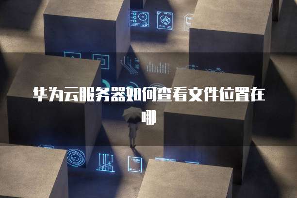 华为云服务器如何查看文件位置在哪