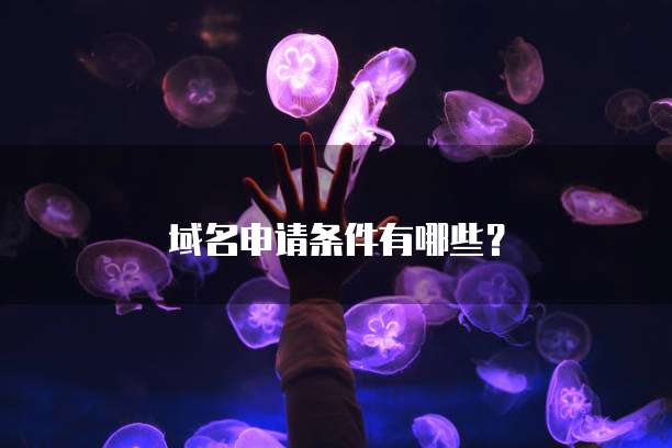 域名申请条件有哪些？