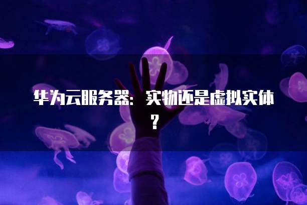 华为云服务器：实物还是虚拟实体？