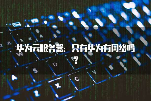 华为云服务器：只有华为有网络吗？