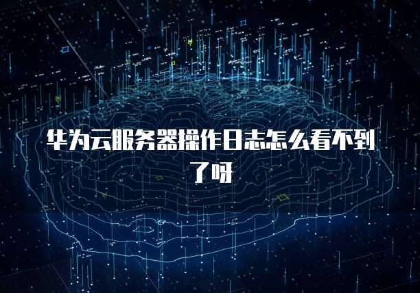 华为云服务器操作日志怎么看不到了呀