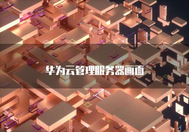 华为云管理服务器画面