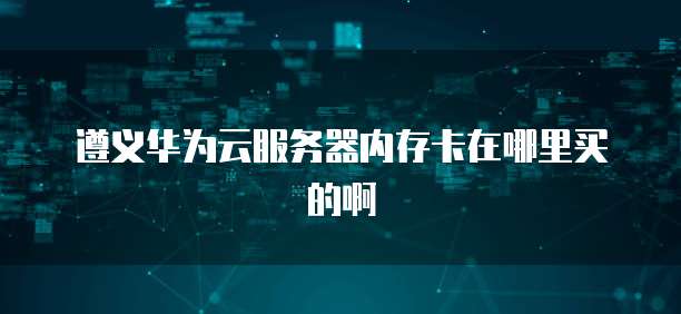 遵义华为云服务器内存卡在哪里买的啊