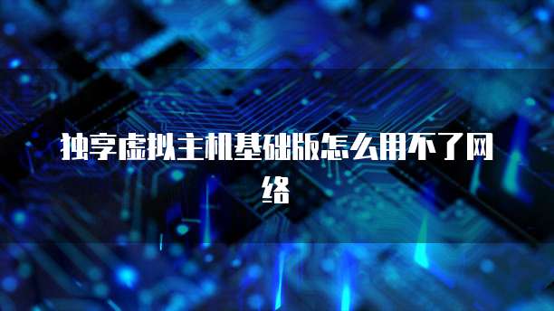 独享虚拟主机基础版怎么用不了网络