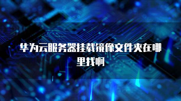 华为云服务器挂载镜像文件夹在哪里找啊
