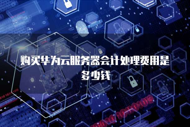 购买华为云服务器会计处理费用是多少钱