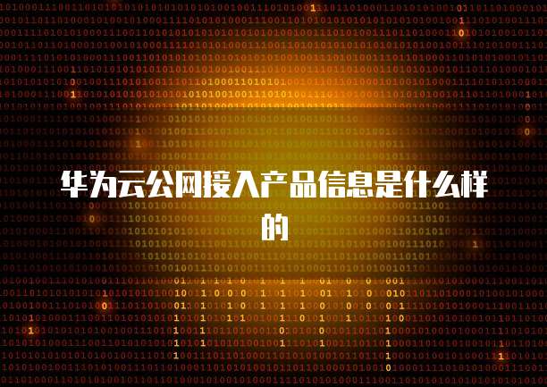 华为云公网接入产品信息是什么样的