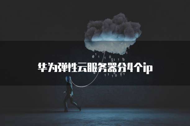 华为弹性云服务器分4个ip
