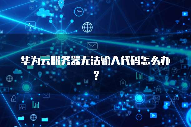 华为云服务器无法输入代码怎么办？